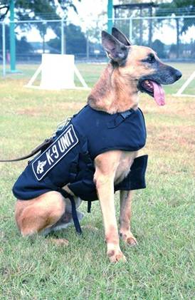 ����:BelgianMalinoisasK9unit.jpg