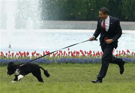 obama-bo-dog-president-photos1