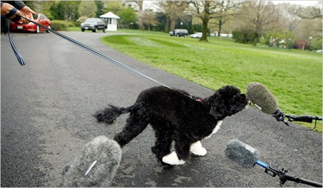 obama_dog_bo_talking_into_mic_at_news_conference_1