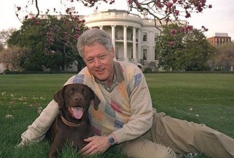 clinton - buddy