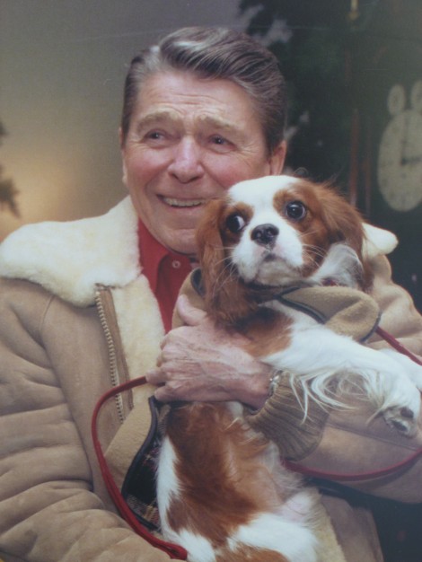 Reagan - rex